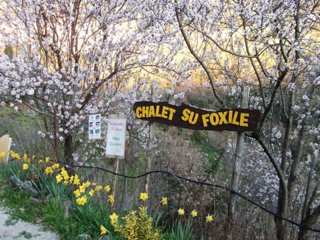 ingresso dalla strada - Chalet Su Foxile